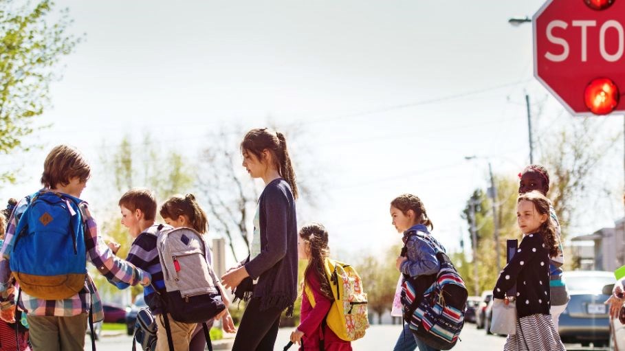 School Zone Safety Information & Resources