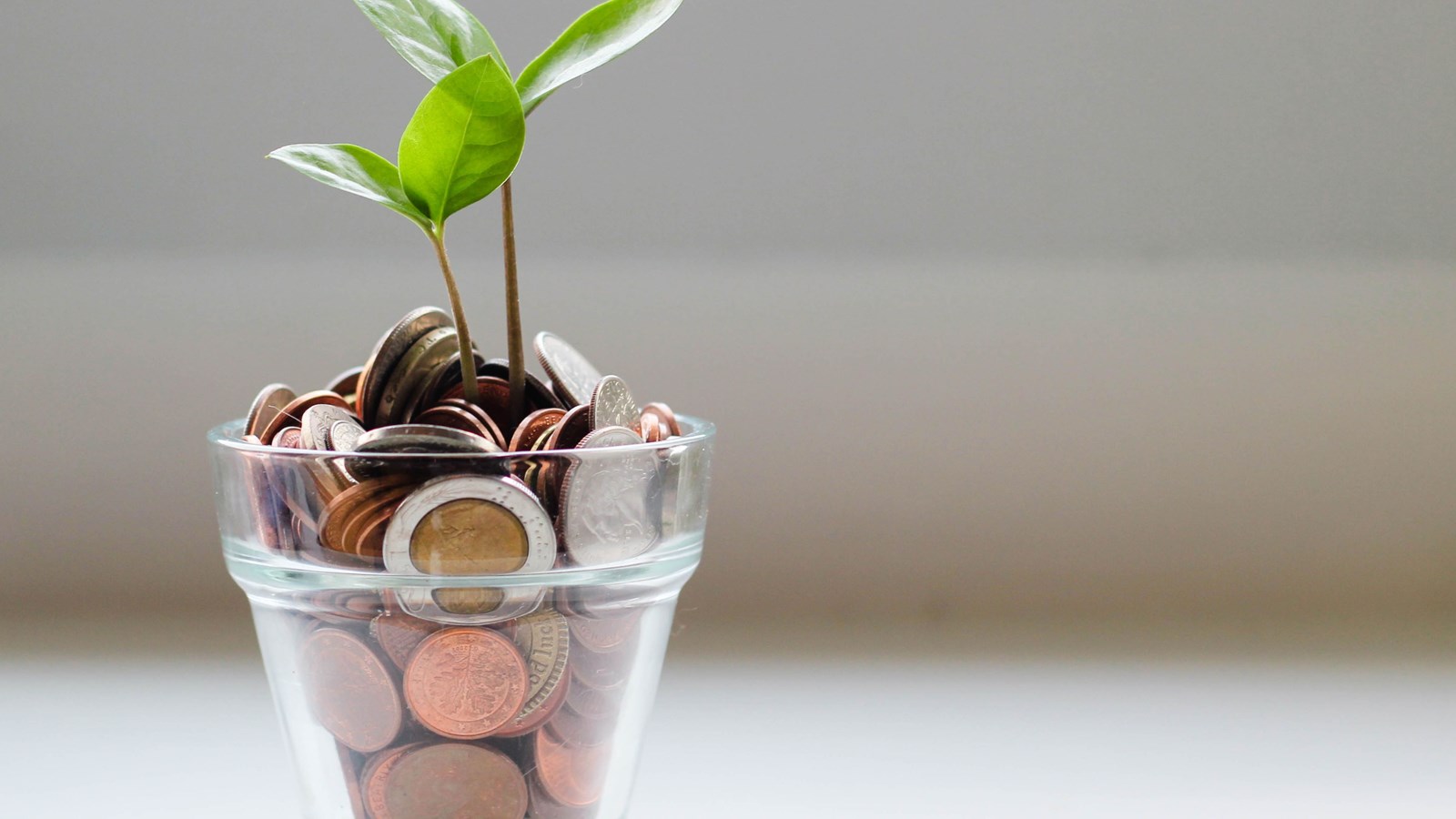FinancialPlant